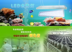 深圳市容毅电子实业有限公司