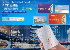 深圳市芯正智和智能卡技术有限公司